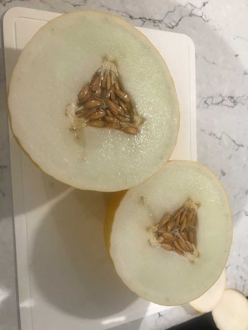 honeydew